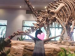 -自贡恐龙博物馆