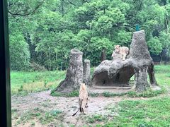 -杭州野生动物世界