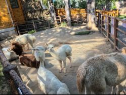 -禧园Joyous Garden ·宴会厅(禧园店)