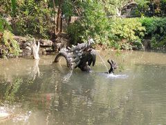 -汇龙潭