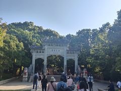 -普陀山风景名胜区-法雨禅寺