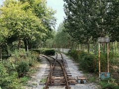 -西青郊野公园