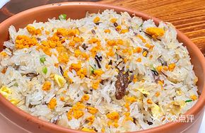 Space Fried Rice