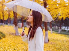 -重庆市江北嘴中央商务区中央公园