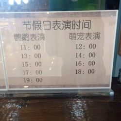 -未来动物城动物主题公园(大悦城店)