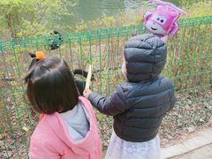 -长白岛森林公园