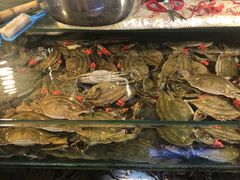 -福春大市场水产厅