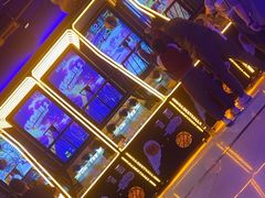 -汤姆熊欢乐世界(罗斯福店)