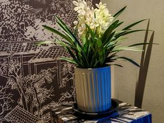 -宫燕府·京菜·烤鸭·淮扬菜(王府中心店)