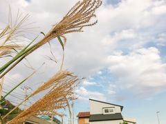 -灌篮高手动画打卡地