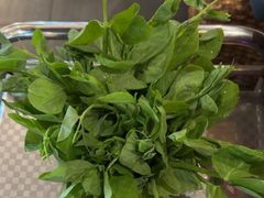 -云尊府云南菜·蒸汽石锅鱼(学清路店)