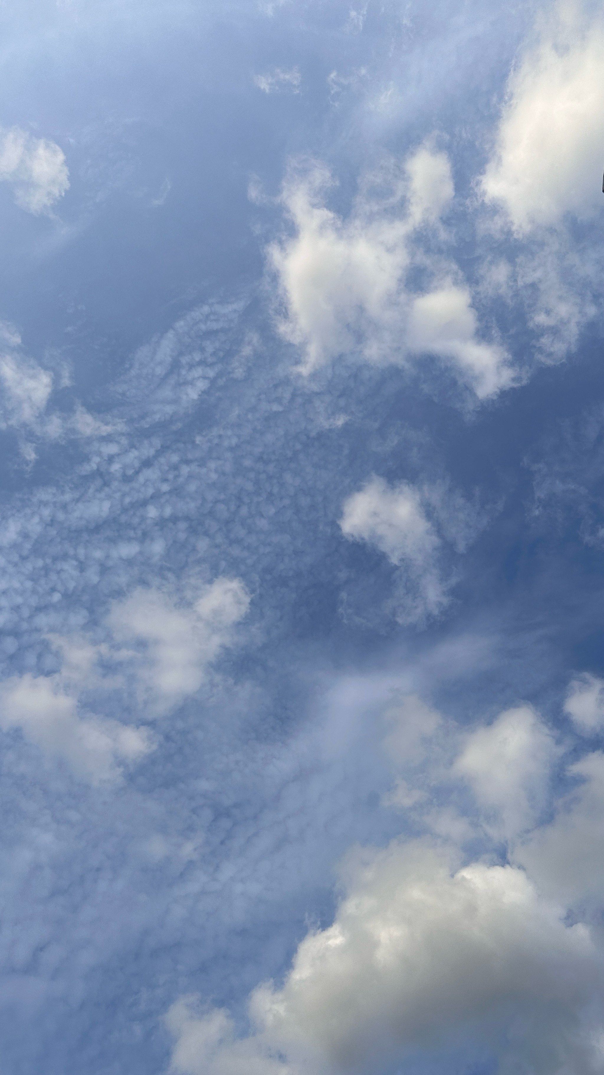 天为什么是蓝色的准确回答为什么在线