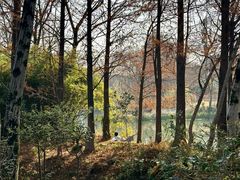 -西溪国家湿地公园