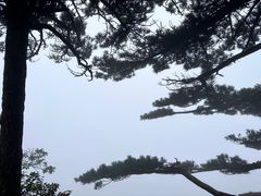-天柱山风景区