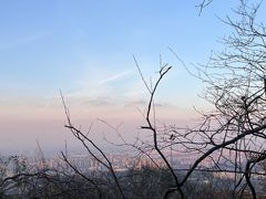 -紫金山山顶公园