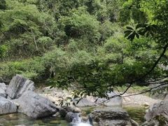 -石台牯牛降景区
