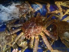 -79号渔船海鲜饭店(华强北店)