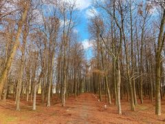 -上海海湾国家森林公园