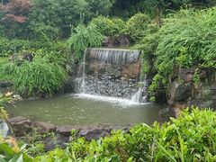 -宜城私房菜.臭鳜鱼(九华新街店)