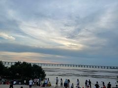 -宝安西湾红树林湿地公园