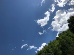 -陕西省红河谷森林公园