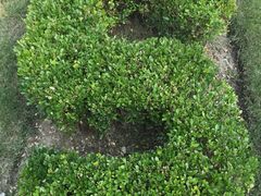 -苏州河梦清园环保主题公园