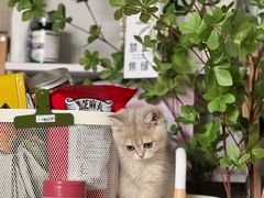 -北京恒爱动物医院(清景园分院)