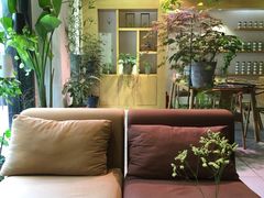 -柴务处·柴犬主题狗咖