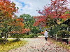 -醍醐寺