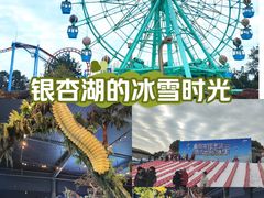 -南京银杏湖乐园