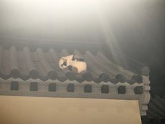 -北平小馆·烤鸭·家常菜(磨房北里店)