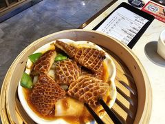 -点都德·毕德寮