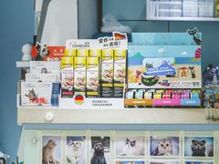 -喵的天空名猫咖啡馆·撸猫·猫舍·用品