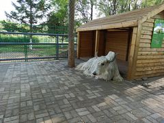 -长白岛森林公园