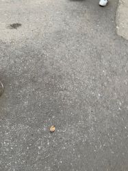 -武汉都市妇产医院