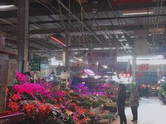 -大自然花鸟鱼虫市场