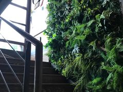 景观位-胡桃里乐队酒馆(鎏嘉码头店)