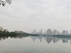 -白鹭洲公园