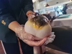 -肆月河豚·新淮扬(金融街店)