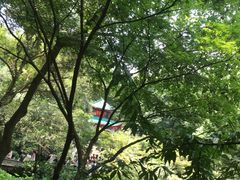 -岳麓山风景名胜区