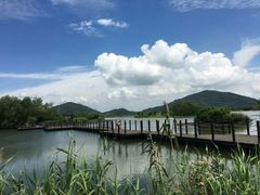 -芒洲湿地公园