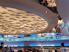 -山海•蒸汽活海鲜自助(皇庭广场店)