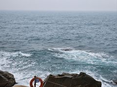 -广东惠东海龟国家级自然保护区