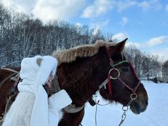 -亚布力新体委滑雪场