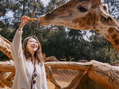 -世界恐龙谷景区