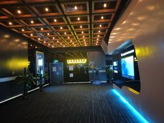 -奥斯卡升龙国际影城(RealD Cinema)