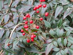 -家味螺蛳粉&烤鱼(五角场店)