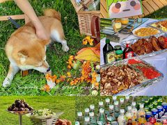 -长白岛森林公园