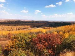 -塞罕坝国家级自然保护区