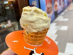 -野人先生现做冰淇淋(西安赛格店)